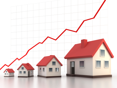 Investment Property Information and Advice