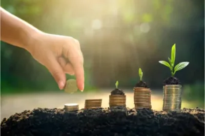 3 Simple Principles Of Financial Decision Making