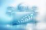 Australian Banks Respond to RBA's Cash Rate Increase