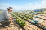 Australian Government Unveils $27 Million Drought Resilience Fund