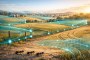 Fire Ant Concerns Add Another Layer to Farm Risk Planning