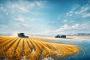 Grain Price Rally Puts Seasonal Risk Back in Focus