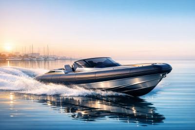 Grand G980 Arrival Highlights Premium RIB Demand?w=400