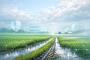 Rain Boosts the Season, but Risk Planning Still Matters