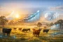 Rising Cattle Values Bring Fresh Finance Questions for Producers