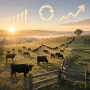 Rising Cattle Values Bring Fresh Finance Questions for Producers