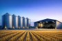 Rising Mouse Reports Put Stored Grain and Sheds in Focus