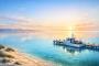 South Australia Extends Gulf St Vincent Fishing Ban Amid Stock Concerns