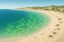 Unprecedented Algal Bloom in South Australia Threatens Marine Ecosystem