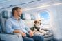Virgin Australia Launches In-Cabin Flights for Pets